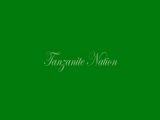 TANZANITE NATION logo