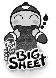TAO KAE NOI BIG SHEET logo