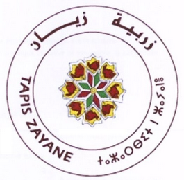TAPIS ZAYANE logo