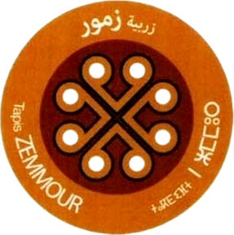 TAPIS ZEMMOUR logo