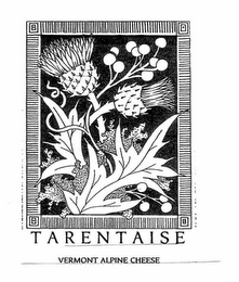 TARENTAISE VERMONT ALPINE CHEESE logo
