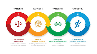TARGET I TARGET II TARGET III TARGET IV C B S E CORE, BALANCE & FLEXIBILTY FUNCTIONAL MOVEMENTS logo