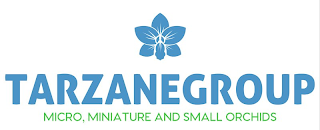 TARZANEGROUP MICRO, MINIATURE AND SMALL ORCHIDS logo