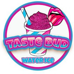 TASTE BUD WATER ICE logo