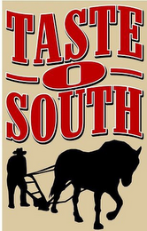 TASTE O SOUTH TASTE O SOUTH logo