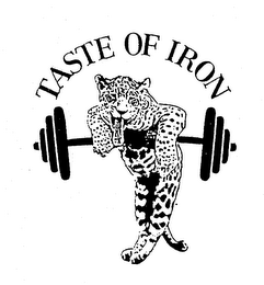 TASTE OF IRON logo