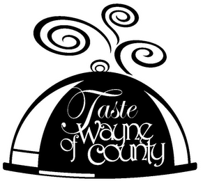 TASTE OF WAYNE COUNTY logo