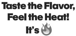 TASTE THE FLAVOR, FEEL THE HEAT! IT'S logo