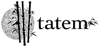 TATEM logo