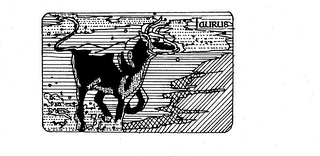 TAURUS logo