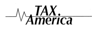 TAX AMERICA logo