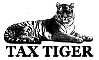 TAX TIGER logo