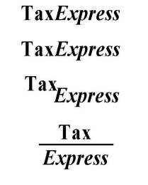 TAXEXPRESS TAX EXPRESS logo