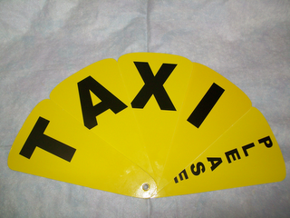 TAXI PLEASE logo
