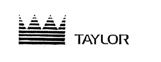 TAYLOR logo