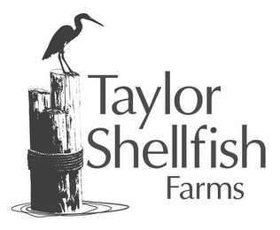 TAYLOR SHELLFISH FARMS logo