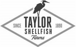 TAYLOR SHELLFISH FARMS SINCE 1890 logo