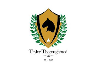TAYLOR THOROUGHBRED LLC EST. 2021 logo