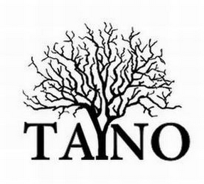 TAYNO logo