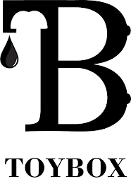 TB TOYBOX logo