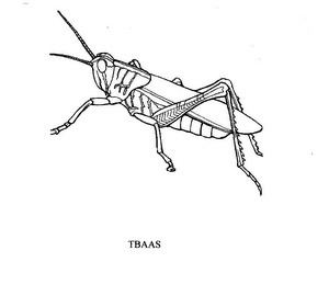 TBAAS logo