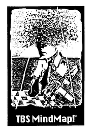 TBS MINDMAP! logo