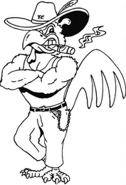 TC logo