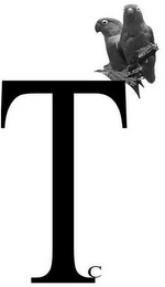 TC logo