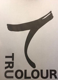 TC TRU COLOUR logo