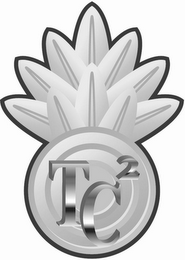 TC2 logo