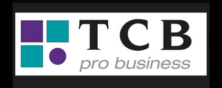 TCB PRO BUSINESS logo