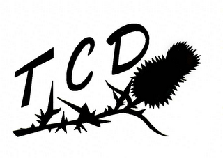 TCD logo