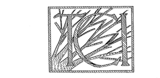 TCI logo