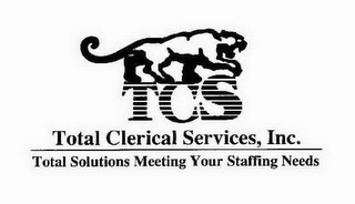 TCS TOTAL CLERICAL SERVICES, INC. TOTAL SOLUTIONS MEETING YOUR STAFFING NEEDS logo