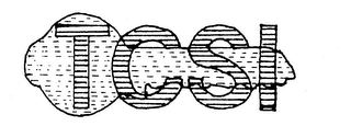 TCSI logo