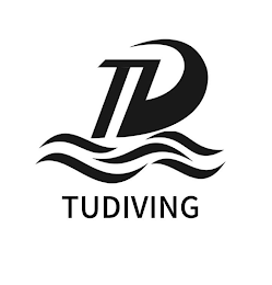 TD TUDIVING logo