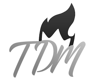TDM logo