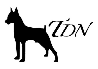 TDN logo