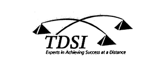 TDSI EXPERTS IN ACHIEVING SUCCESS AT A DISTANCE logo