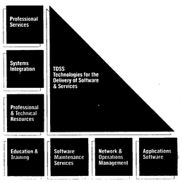 TDSS TECHNOLOGIES FOR THE DELIVERY OF SOFTWARE & SERVICES logo