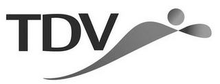 TDV logo