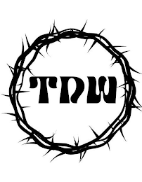 TDW logo