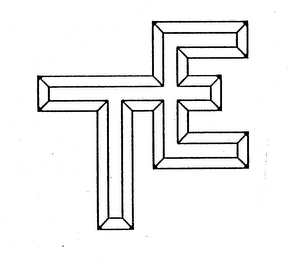 TE logo