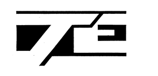 TE logo