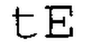 TE logo
