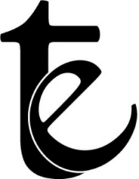 TE logo