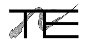 TE logo