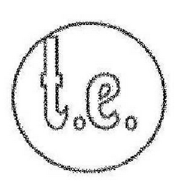 T.E. logo