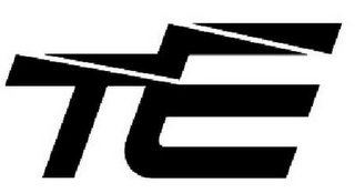 TE logo