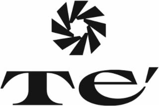 TE logo